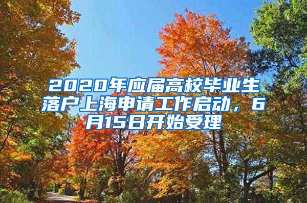 2020年应届高校毕业生落户上海申请工作启动，6月15日开始受理