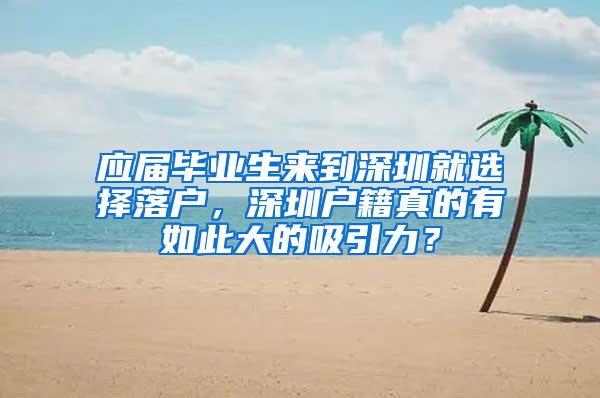 应届毕业生来到深圳就选择落户，深圳户籍真的有如此大的吸引力？