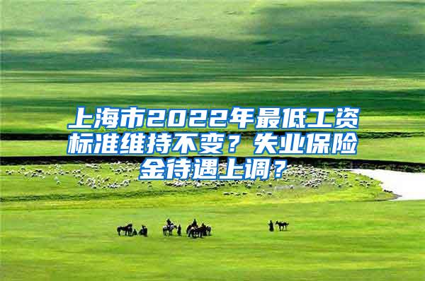 上海市2022年最低工资标准维持不变？失业保险金待遇上调？