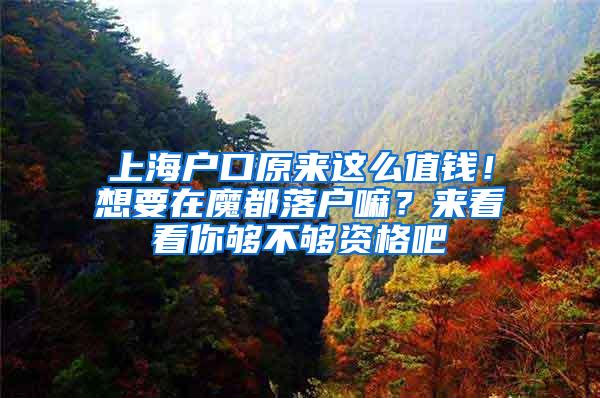 上海户口原来这么值钱！想要在魔都落户嘛？来看看你够不够资格吧