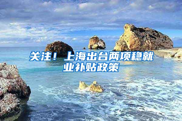 关注！上海出台两项稳就业补贴政策