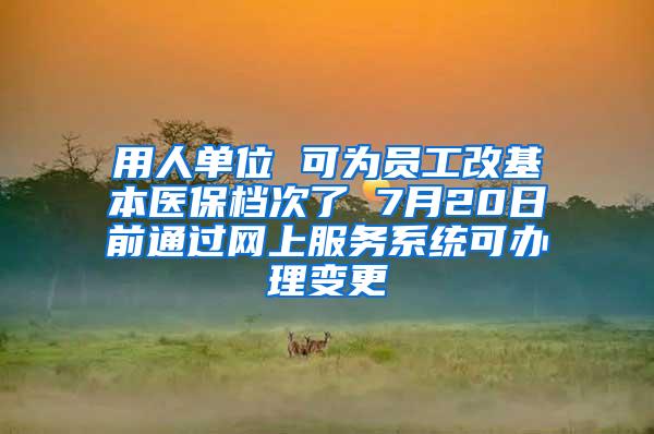 用人单位 可为员工改基本医保档次了 7月20日前通过网上服务系统可办理变更