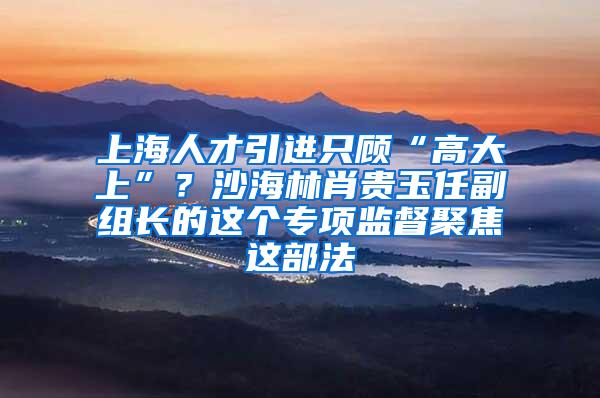 上海人才引进只顾“高大上”？沙海林肖贵玉任副组长的这个专项监督聚焦这部法