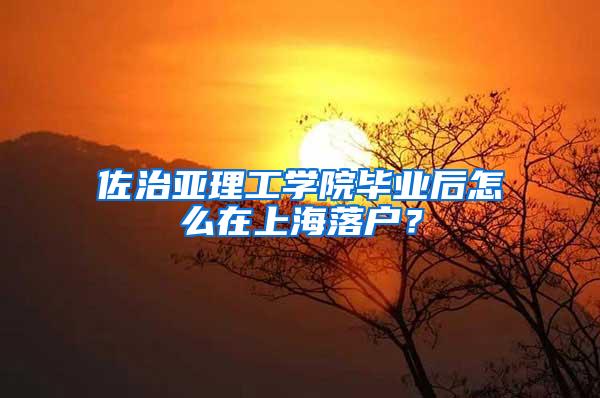 佐治亚理工学院毕业后怎么在上海落户？