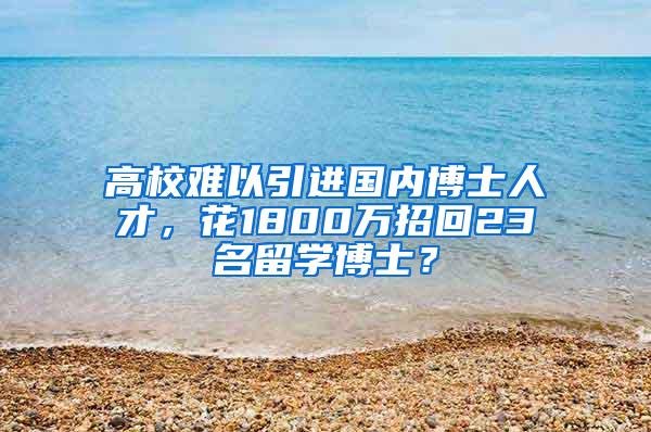 高校难以引进国内博士人才，花1800万招回23名留学博士？