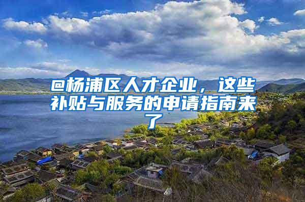 @杨浦区人才企业，这些补贴与服务的申请指南来了