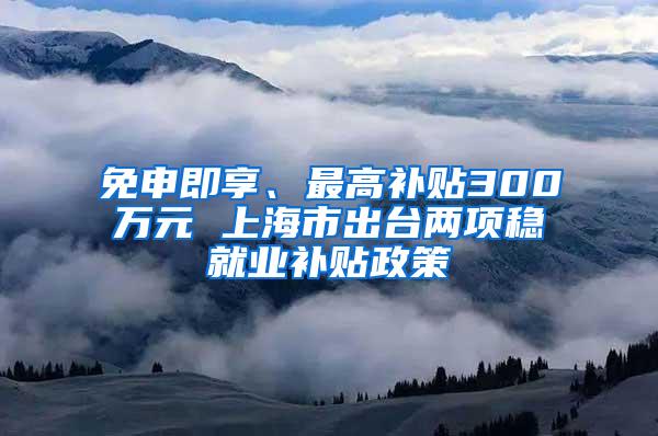 免申即享、最高补贴300万元 上海市出台两项稳就业补贴政策