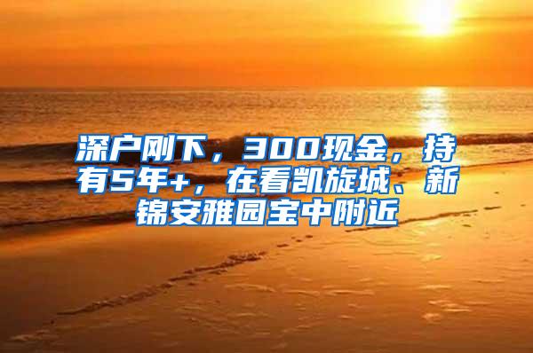 深户刚下，300现金，持有5年+，在看凯旋城、新锦安雅园宝中附近