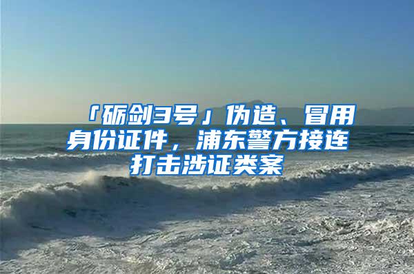 「砺剑3号」伪造、冒用身份证件，浦东警方接连打击涉证类案