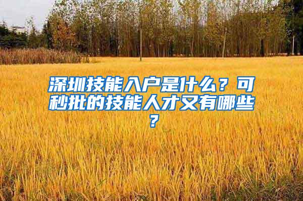 深圳技能入户是什么？可秒批的技能人才又有哪些？