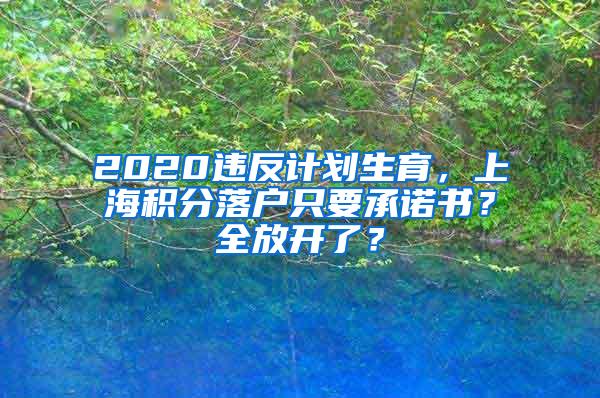 2020违反计划生育，上海积分落户只要承诺书？全放开了？