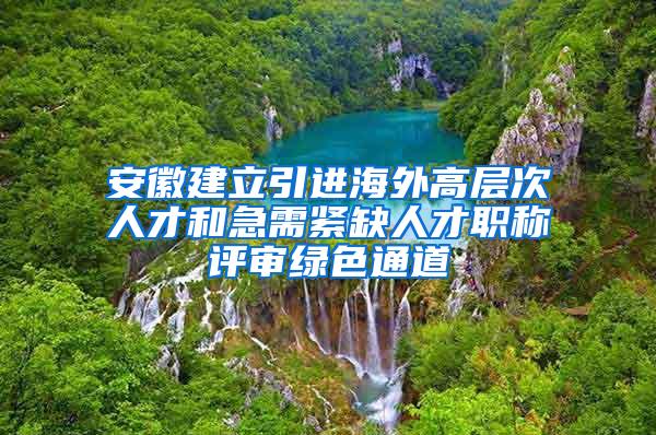 安徽建立引进海外高层次人才和急需紧缺人才职称评审绿色通道