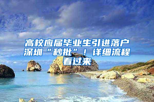 高校应届毕业生引进落户深圳“秒批”！详细流程看过来