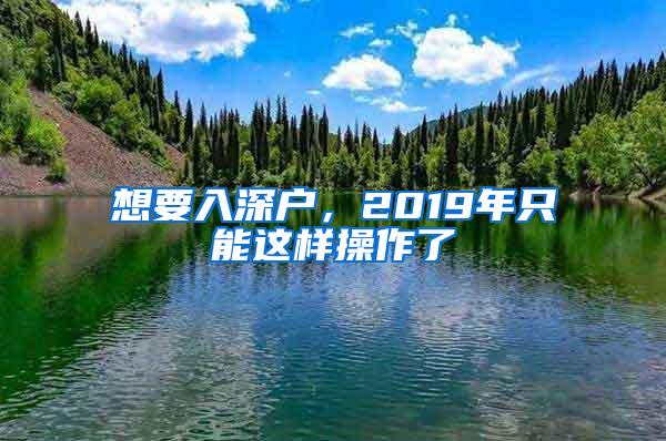 想要入深户，2019年只能这样操作了