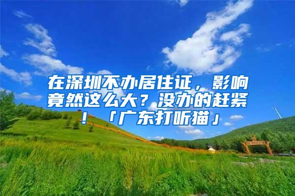 在深圳不办居住证，影响竟然这么大？没办的赶紧！「广东打听猫」