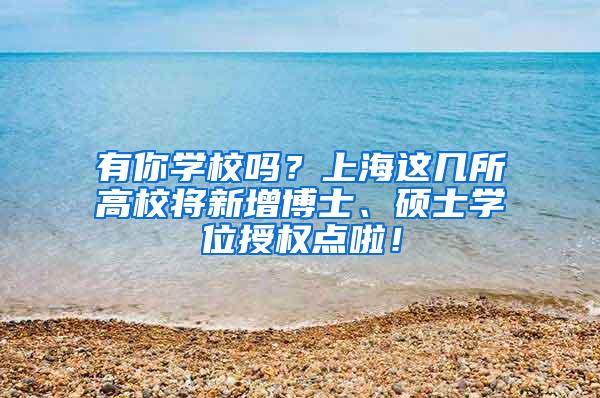 有你学校吗？上海这几所高校将新增博士、硕士学位授权点啦！