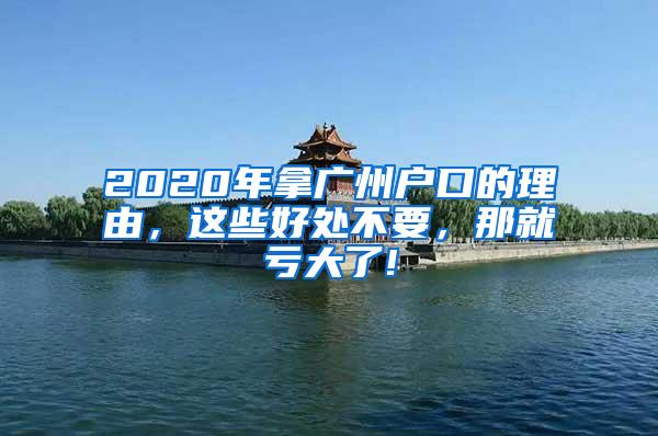 2020年拿广州户口的理由，这些好处不要，那就亏大了!