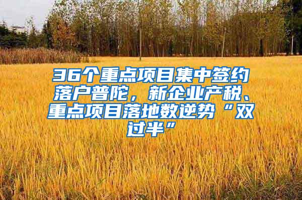 36个重点项目集中签约落户普陀，新企业产税、重点项目落地数逆势“双过半”