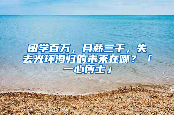 留学百万，月薪三千，失去光环海归的未来在哪？「一心博士」