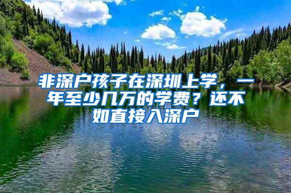 非深户孩子在深圳上学，一年至少几万的学费？还不如直接入深户