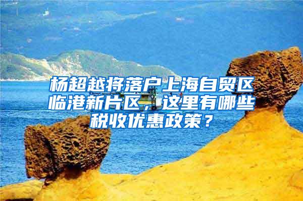 杨超越将落户上海自贸区临港新片区，这里有哪些税收优惠政策？