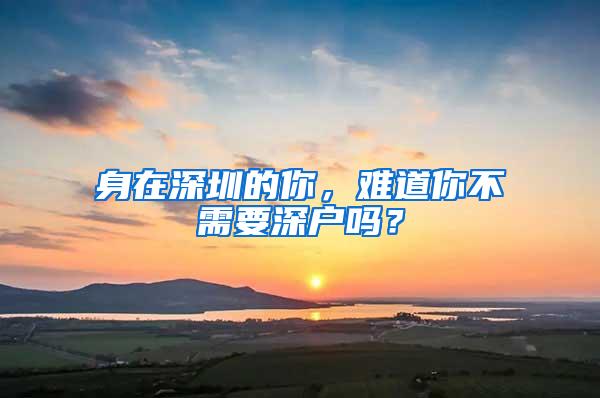 身在深圳的你，难道你不需要深户吗？