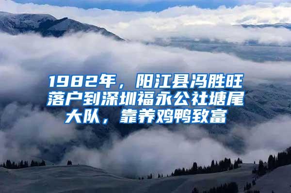 1982年，阳江县冯胜旺落户到深圳福永公社塘尾大队，靠养鸡鸭致富