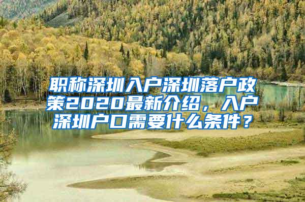 职称深圳入户深圳落户政策2020最新介绍，入户深圳户口需要什么条件？