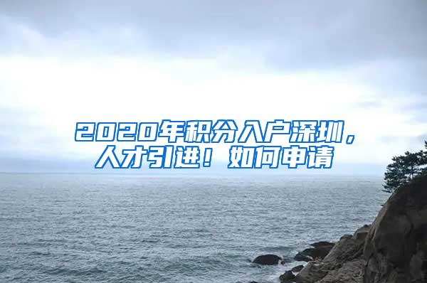 2020年积分入户深圳，人才引进！如何申请