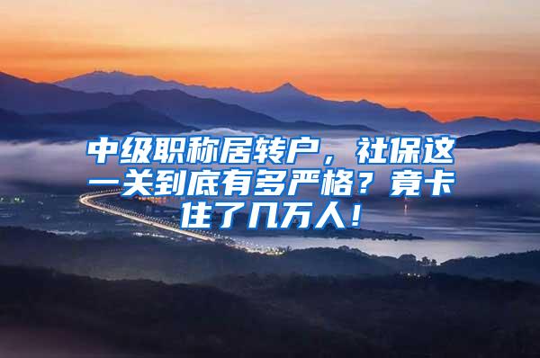 中级职称居转户，社保这一关到底有多严格？竟卡住了几万人！