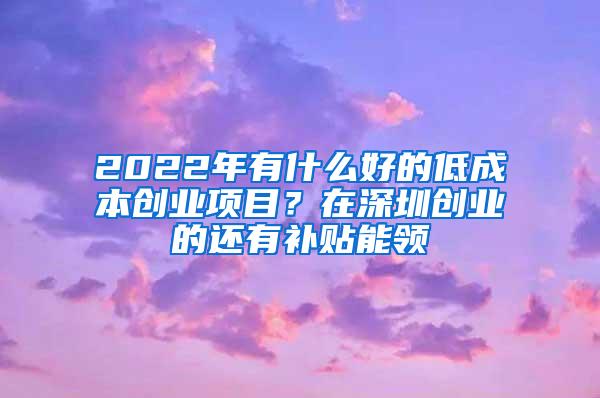 2022年有什么好的低成本创业项目？在深圳创业的还有补贴能领