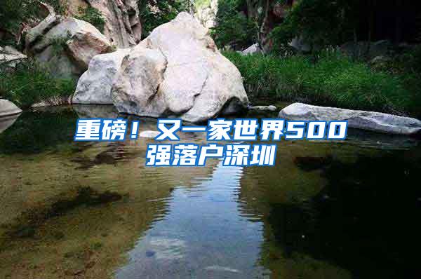 重磅！又一家世界500强落户深圳