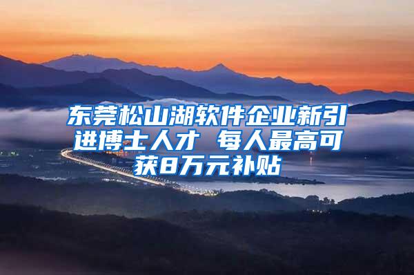 东莞松山湖软件企业新引进博士人才 每人最高可获8万元补贴