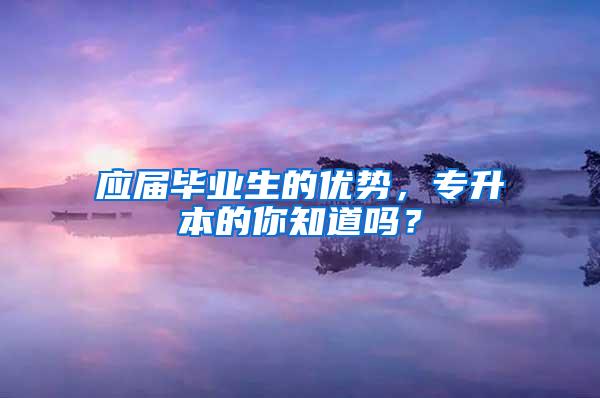 应届毕业生的优势，专升本的你知道吗？