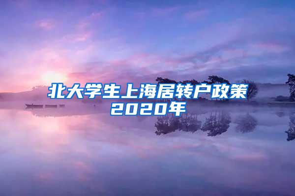 北大学生上海居转户政策2020年