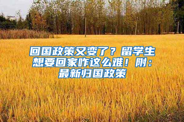 回国政策又变了？留学生想要回家咋这么难！附：最新归国政策