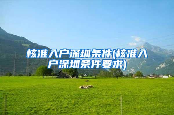 核准入户深圳条件(核准入户深圳条件要求)