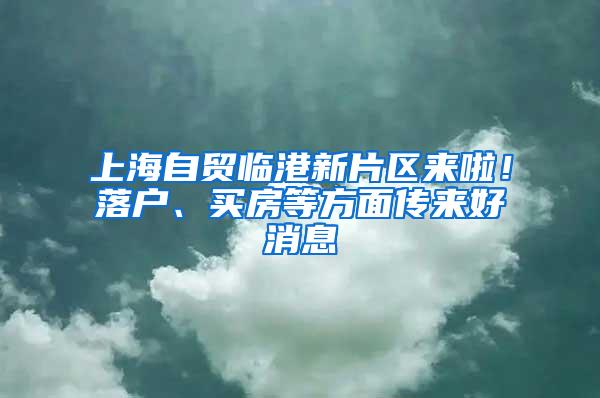 上海自贸临港新片区来啦！落户、买房等方面传来好消息