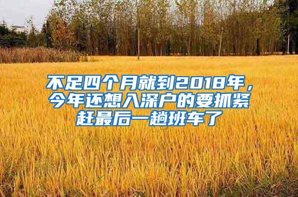 不足四个月就到2018年，今年还想入深户的要抓紧赶最后一趟班车了