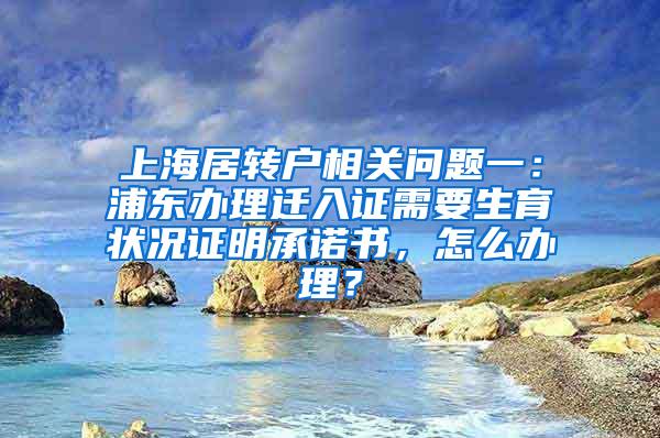 上海居转户相关问题一：浦东办理迁入证需要生育状况证明承诺书，怎么办理？