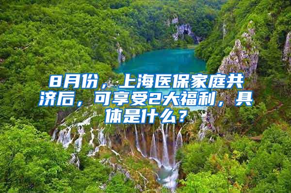 8月份，上海医保家庭共济后，可享受2大福利，具体是什么？