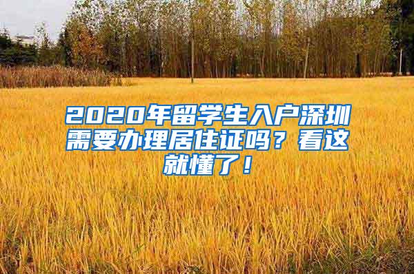 2020年留学生入户深圳需要办理居住证吗？看这就懂了！