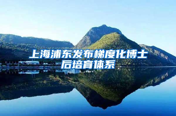 上海浦东发布梯度化博士后培育体系