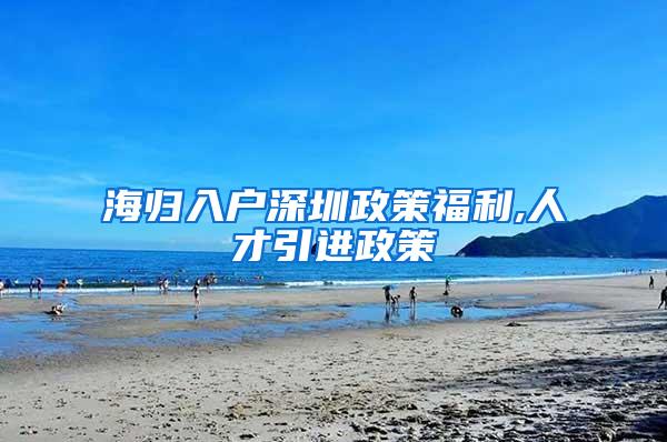 海归入户深圳政策福利,人才引进政策