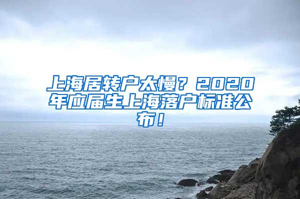 上海居转户太慢？2020年应届生上海落户标准公布！