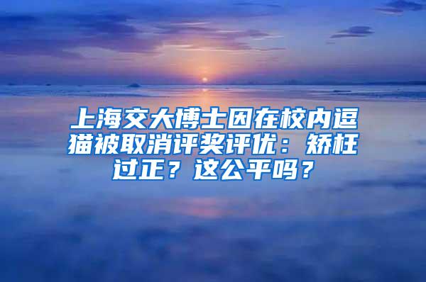 上海交大博士因在校内逗猫被取消评奖评优：矫枉过正？这公平吗？