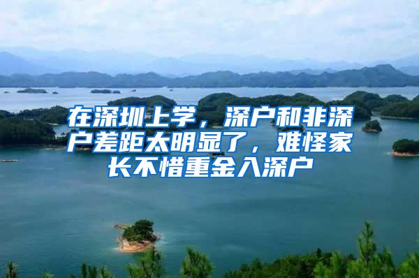 在深圳上学，深户和非深户差距太明显了，难怪家长不惜重金入深户