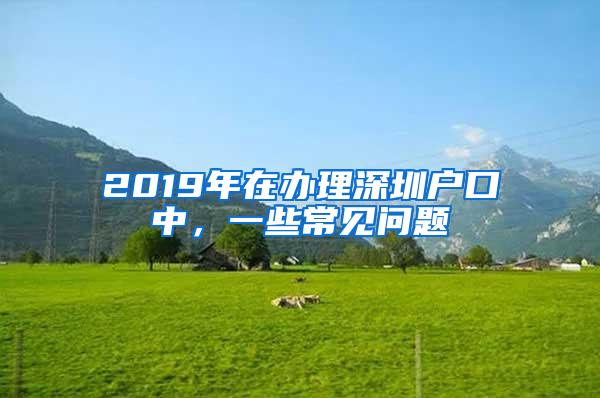 2019年在办理深圳户口中，一些常见问题