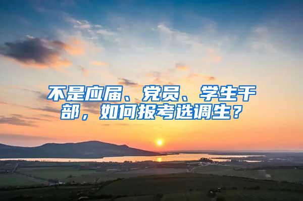 不是应届、党员、学生干部，如何报考选调生？