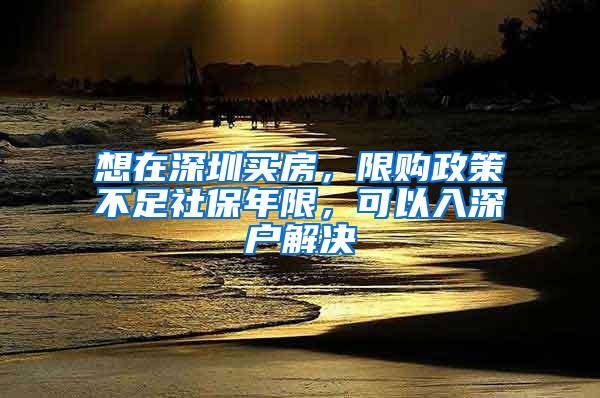 想在深圳买房，限购政策不足社保年限，可以入深户解决